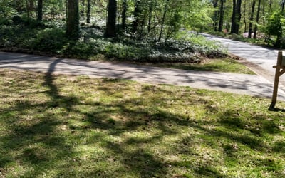 Photo of Chris B.'s yard after getting landscaping in Emerson, GA