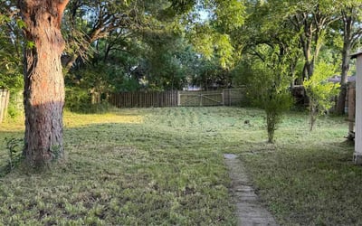 Photo of Tracey B.'s yard after getting landscaping in Texas City, TX