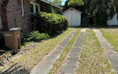 Photo of Michael K.'s yard after getting landscaping in Mc David, FL