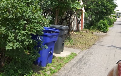 Photo of Christopher T.'s yard after getting landscaping in Mayer, MN