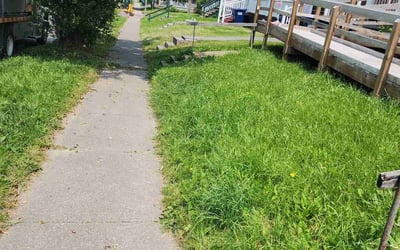 Photo of Stephanie H.'s yard after getting landscaping in Syracuse, NY