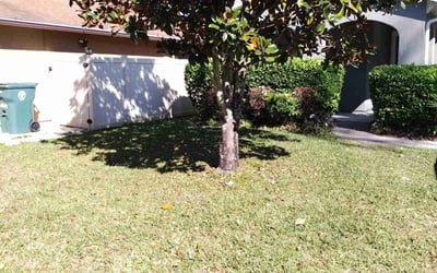 Photo of Charles H.'s yard after getting landscaping in Lake Geneva, FL