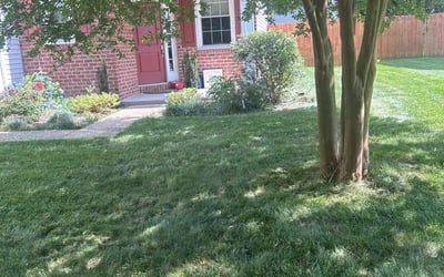 Photo of Melissa W.'s yard after getting landscaping in Chesapeake, VA