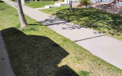 Photo of Donna L.'s yard after getting tree care in Commerce City, CO