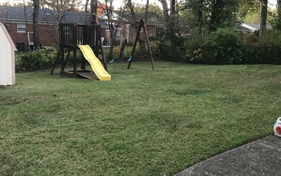 Photo of Matthew J.'s yard after getting tree care in Union, KY