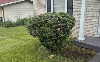 Photo of Nicole W.'s yard after getting landscaping in Florissant, MO