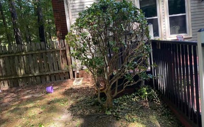 Photo of Anurodh S.'s yard after getting landscaping in Coinjock, NC