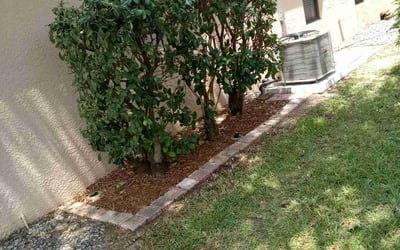 Photo of Megan D.'s yard after getting landscaping in Sharpes, FL