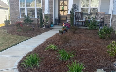 Photo of Cassandra B.'s yard after getting landscaping in Wingate, NC