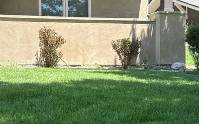 Photo of John D.'s yard after getting landscaping in Golden, CO