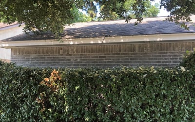 Photo of Jack E.'s yard after getting tree care in Conroe, TX