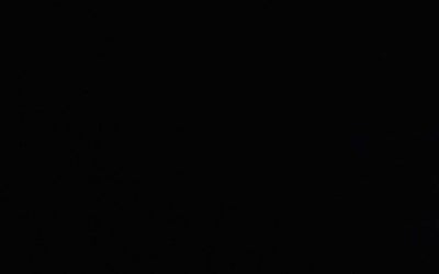 Photo of Ravi G.'s yard after getting tree care in Avondale, AZ