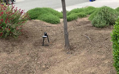 Photo of Sonja N.'s yard after getting landscaping in Highland, CA