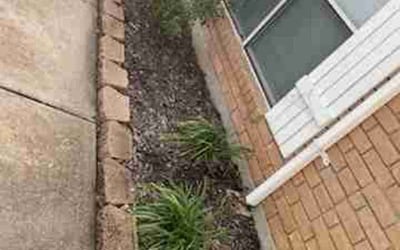 Photo of Javier V.'s yard after getting landscaping in Port Bolivar, TX