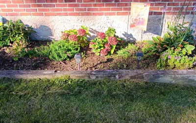 Photo of Kathy H.'s yard after getting landscaping in New Windsor, MD