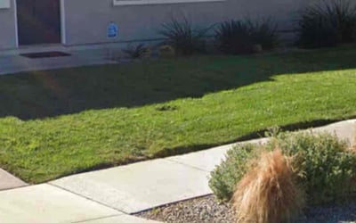 Photo of Susan C.'s yard after getting lawn care in Spring Valley, CA