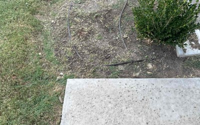 Photo of Josh G.'s yard after getting landscaping in Josephine, TX