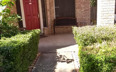 Photo of Alicia M.'s yard after getting landscaping in Thrall, TX