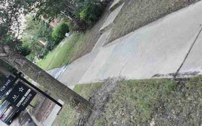 Photo of Jordan L.'s yard after getting landscaping in Aubrey, TX