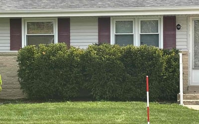 Photo of Linda R.'s yard after getting landscaping in Belgium, WI