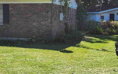 Photo of Tasha B.'s yard after getting landscaping in Saint George, SC