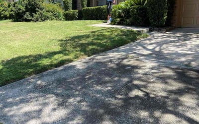 Photo of Neil T.'s yard after getting landscaping in Orlando, FL