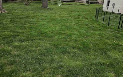 Photo of Christina G.'s yard after getting landscaping in Tarlton, OH