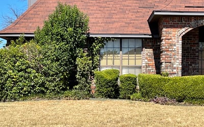 Photo of Jim C.'s yard after getting tree care in Greenville, TX