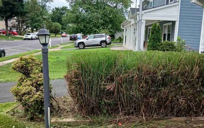 Photo of Morgan W.'s yard after getting landscaping in Sterling, VA