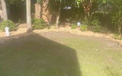 Photo of Barbara B.'s yard after getting landscaping in Beaufort, SC