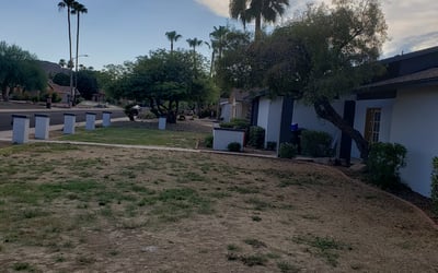 Photo of Kim K.'s yard after getting landscaping in Morristown, AZ