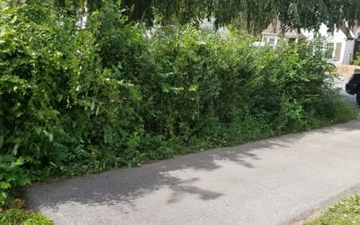 Photo of Megan C.'s yard after getting landscaping in Dickerson, MD