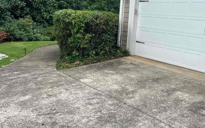 Photo of Luke D.'s yard after getting landscaping in Athens, GA