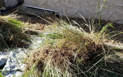 Photo of Sandy E.'s yard after getting landscaping in Stanchfield, MN
