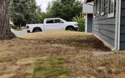 Photo of Chad M.'s yard after getting landscaping in Monroe, WA