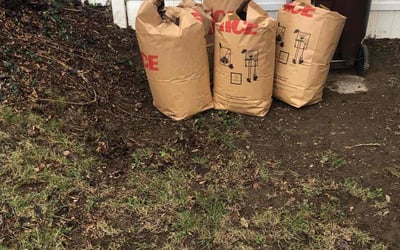 Photo of Wesley H.'s yard after getting landscaping in Georgetown, OH