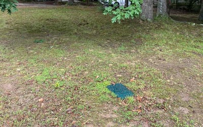 Photo of Veronica W.'s yard after getting landscaping in New Hill, NC