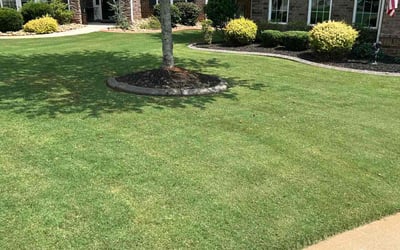 Photo of Ken r.'s yard after getting lawn care in Fountain Inn, SC