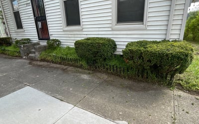 Photo of Kathleen C.'s yard after getting landscaping in Harveysburg, OH