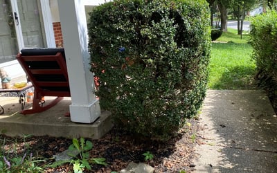 Photo of Robert F.'s yard after getting landscaping in Huntly, VA
