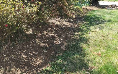 Photo of Nicole U.'s yard after getting landscaping in Swannanoa, NC