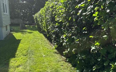 Photo of Richard G.'s yard after getting landscaping in Springfield, MA
