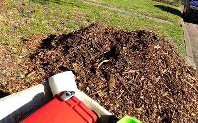 Photo of Mary L.'s yard after getting landscaping in White Marsh, VA