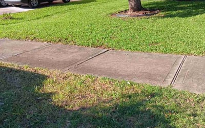 Photo of Shawn W.'s yard after getting landscaping in Prairie View, TX