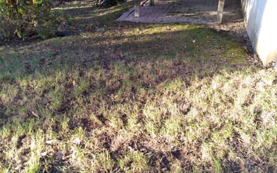 Photo of Eula H.'s yard after getting landscaping in Riverdale, MD