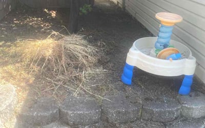 Photo of Brian H.'s yard after getting landscaping in Martinez, CA