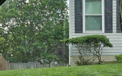 Photo of Tatiana S.'s yard after getting landscaping in Upper Marlboro, MD