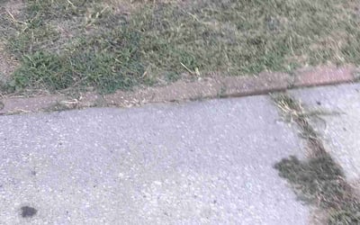Photo of Brandon B.'s yard after getting landscaping in Waverly, MO