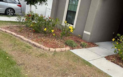 Photo of Lawrence C.'s yard after getting landscaping in Balm, FL