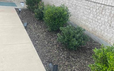 Photo of Marcy M.'s yard after getting landscaping in Elmo, TX